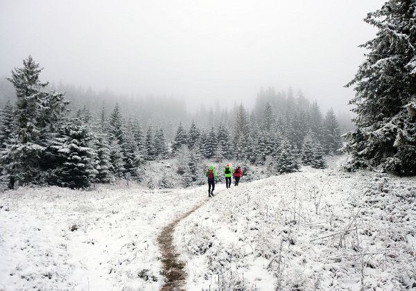 XXII GEZnO fot. Piotr Dąbrowski